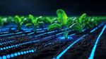 Smart Agriculture Innovation Explained: Technologies, Methods, Benefits and Modern Farming Applications