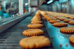 Biscuit Cooling Conveyors Explanation: Air Circulation, Conveyor Movement, Cooling and Handling