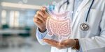 A Complete Guide to Understanding Digestive Health and Gut Function