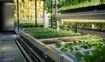 Handleiding voor klimaatbeheersingssystemen in kassen: temperatuur, luchtvochtigheid, ventilatie en verlichting