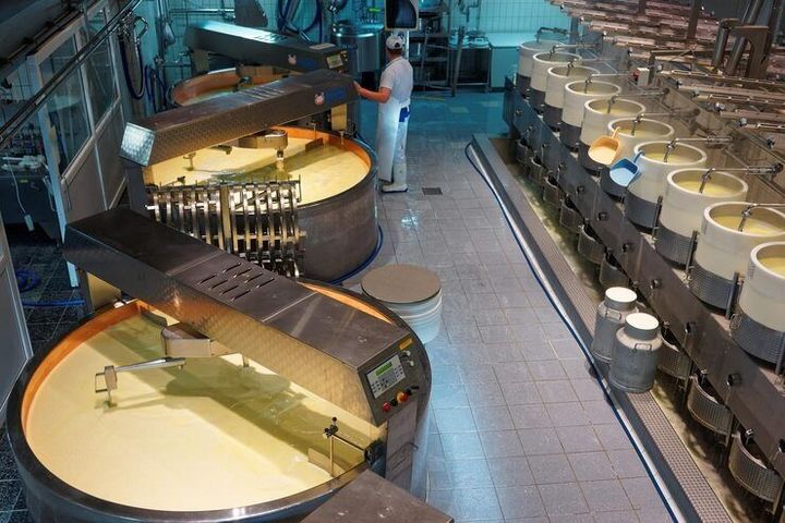 food processing plant equipment: Explore Modern Processing Systems and Workflows