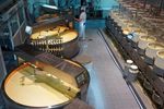 food processing plant equipment: Explore Modern Processing Systems and Workflows