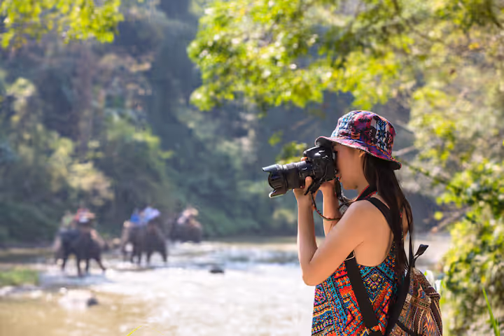 Wildlife Photography Expedition Tours: Complete Guide, Tips, Insights, Advice & Resources