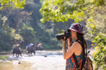 Wildlife Photography Expedition Tours: Complete Guide, Tips, Insights, Advice & Resources