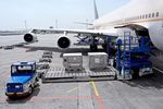 International Air Cargo Logistics Explore How Customs Clearance Works