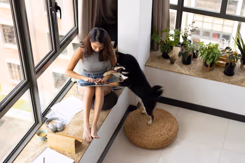 Convertible Sofa Explained: Types, Designs, Features, Materials, Uses and Key Considerations