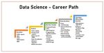 Data Science Paths Guide: Career Routes, Skills, Tools, Learning and Specializations