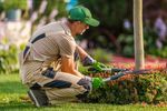 Landscaping Advice for Garden Planning, Outdoor Features and Green Spaces