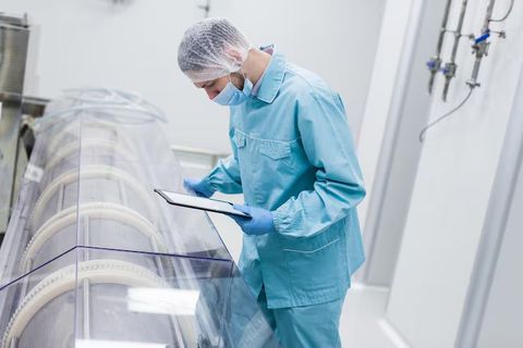 Food Processing Machine Overview: Understanding Components, Functions, and Working Basics