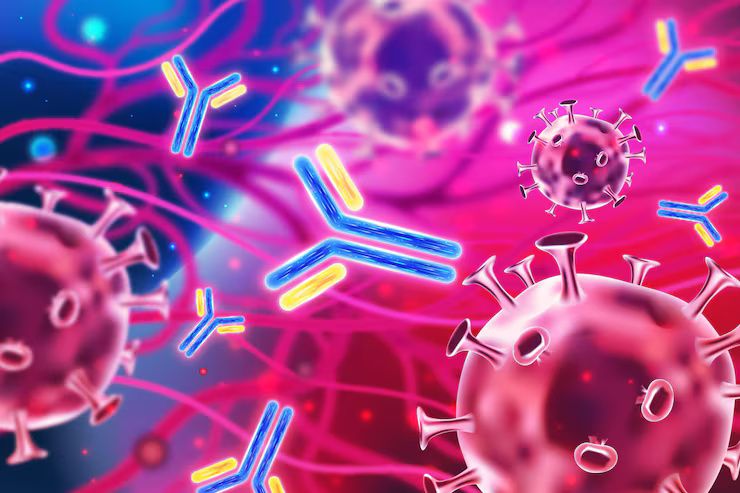 Antibody Production Overview: Learn the Process, Types, Techniques and Uses