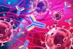 Antibody Production Overview: Learn the Process, Types, Techniques and Uses
