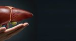 Liver Health Advice: Dietary Habits, Exercise, Alcohol Awareness and Routine Wellness