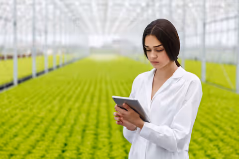 Helpful Tips and Expert Suggestions to Understand Modern Environmental Challenges