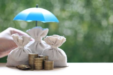 Life Insurance Guide: Policy Types, Coverage Options, Benefits and Important Considerations