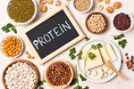 Understanding Custom Protein Production for Recombinant Protein