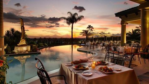 Luxury Safari Travel Basics With Destinations, Experiences, and Vacation Planning