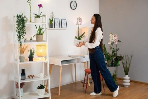 Interior Design Trends Overview: Emerging Styles, Material, Lighting Ideas and Furniture