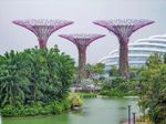 Explore Gardens by the Bay Singapore With Family Attractions and Travel Insights
